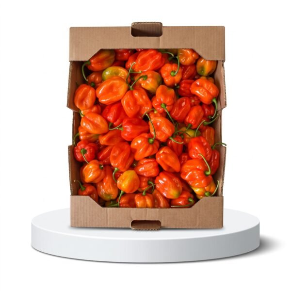 Habanero Pepper
