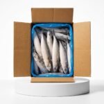 Iceland Mackerel